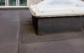 disadvantages of Coed Y Fedw flat roofs