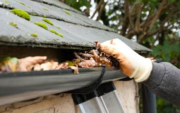 gutter cleaning Coed Y Fedw, Monmouthshire