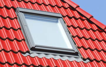 roof windows Coed Y Fedw, Monmouthshire